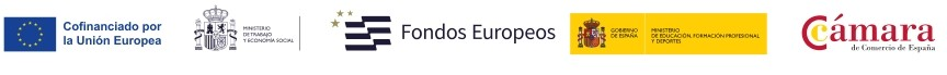 Formación de Tutores de empresa de FP Dual Intensiva